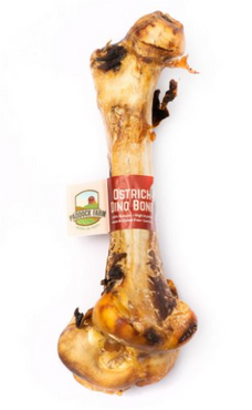 Ostrich Dino Bone (excl. 20% VAT)
