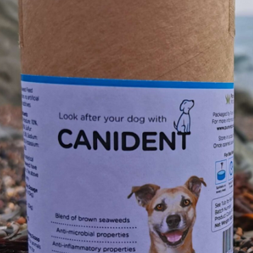 Dogsfirst Canident