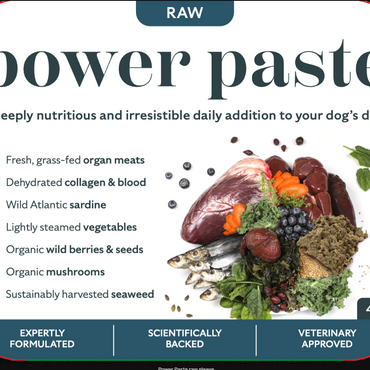 Dogsfirst Power Paste