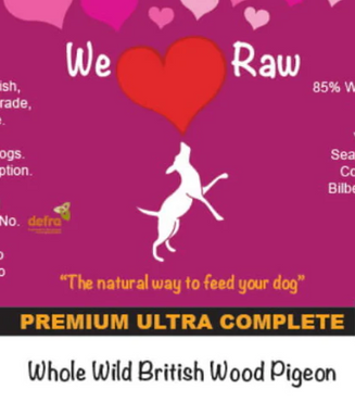Wild British Wood Pigeon