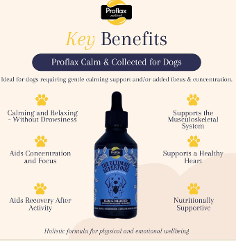 Proflax Calm & Collected (excl. 20% VAT)