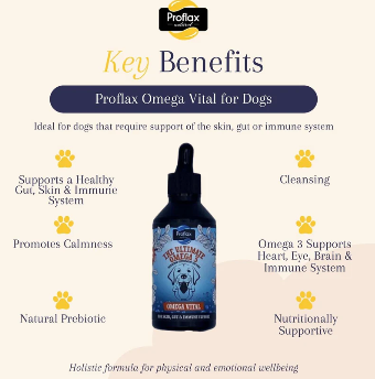 Proflax Omega Vital - now contains Salmon oil! (excl. 20% VAT)