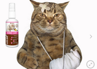 LUCAA+ Pet Probiotic Dermo (Wound) Care (excl. 20% VAT)