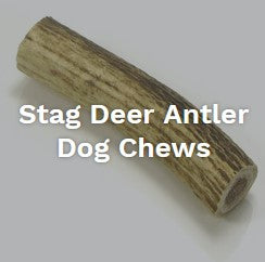 Stag Deer Antler Dog Chews