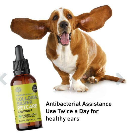 Dog antibacterial ear on sale drops