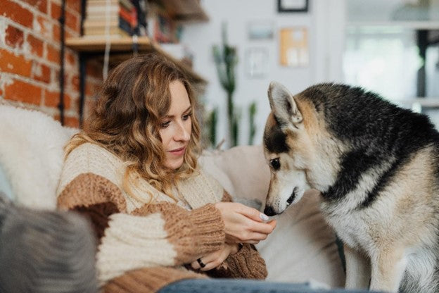 Natural Treats from the Kitchen for Your Pup