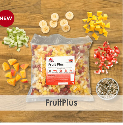 FRUITPLUS – A blend of 5 fruits with 7 added botanicals.