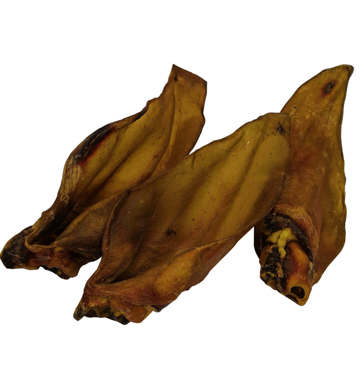 Buffalo Ears - 1pc