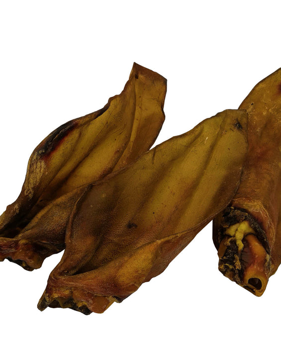 Buffalo Ears - 1pc