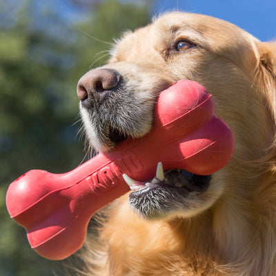 KONG® GOODIE BONE