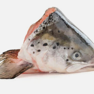 Birmingham Raw Salmon Heads