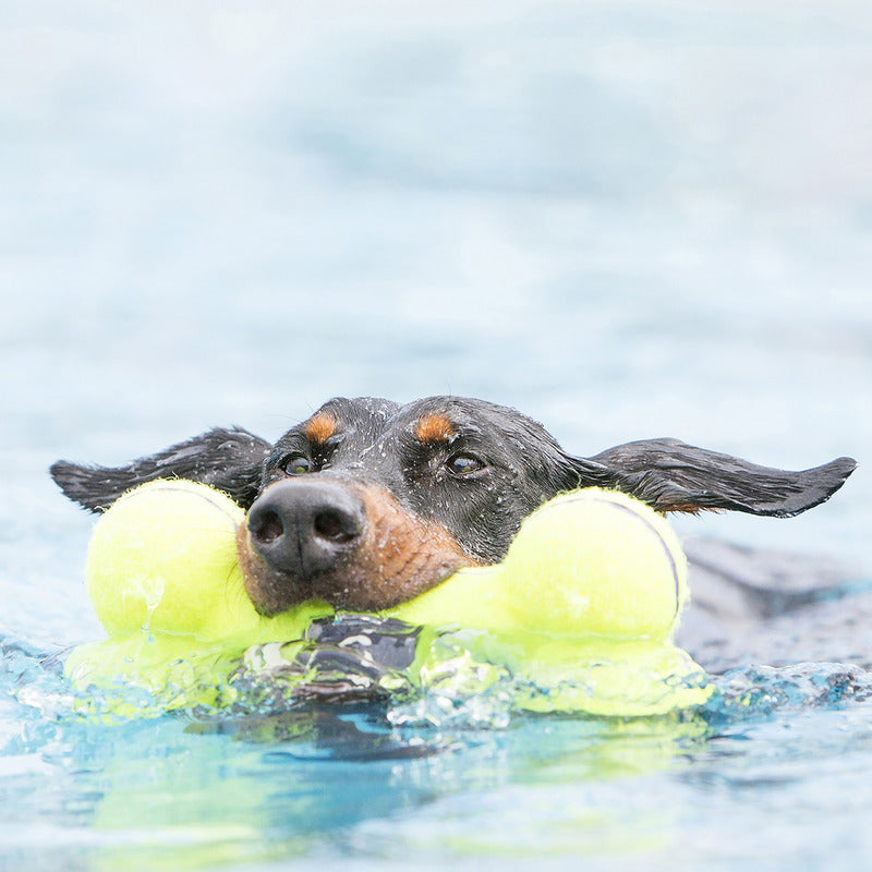 KONG® AIRDOG® SQUEAKER BONE