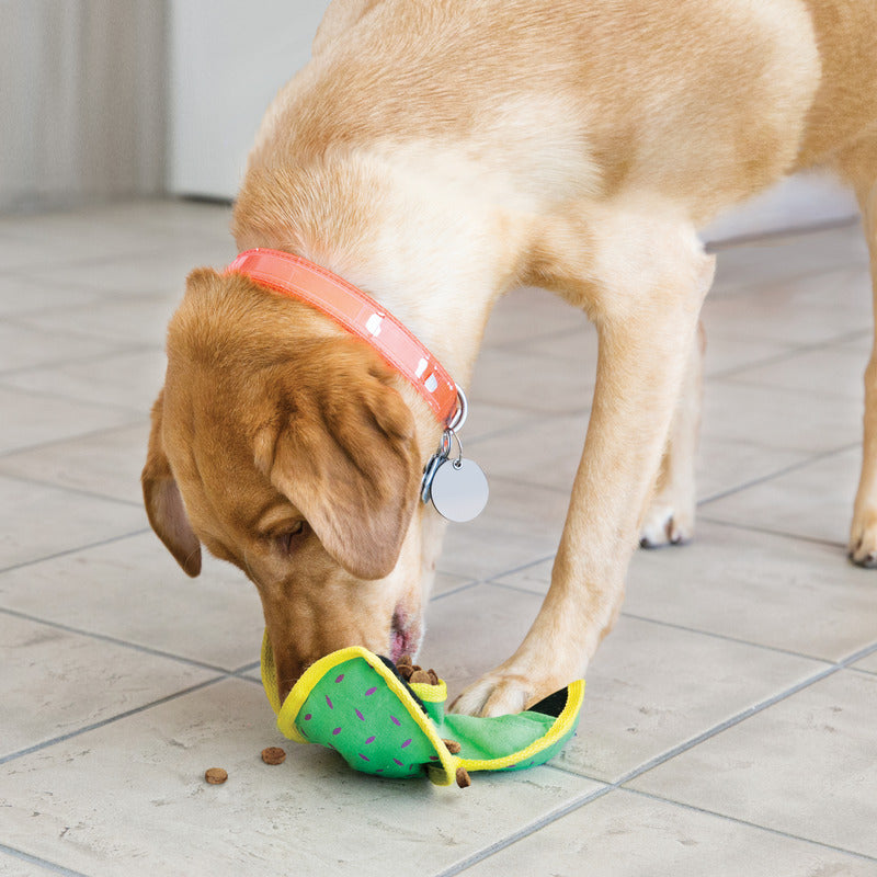 KONG® BALLISTIC® HIDE 'N TREAT