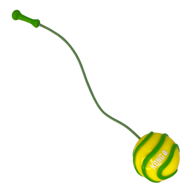 KONG® Bunji High-Viz Ball