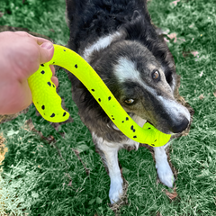 KONG® Reflex Tug 'n Fetch