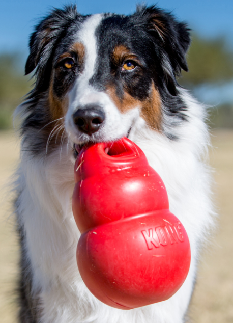 KONG® BOUNZER