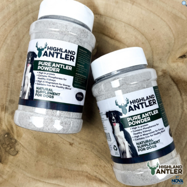 Pure Antler Powder (Supplement) (excl. 20% VAT)