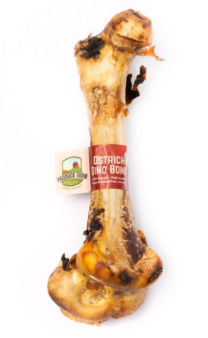 Ostrich Dino Bone - loose