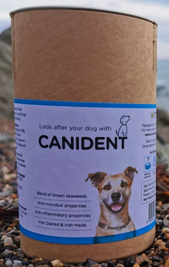 Dogsfirst Canident