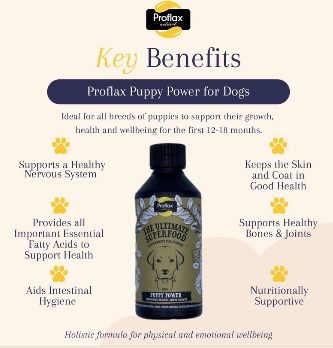 Proflax Puppy Power (excl. 20% VAT)