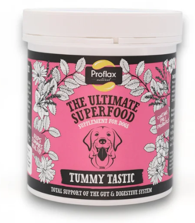 Proflax Tummy Tastic (excl. 20% VAT)