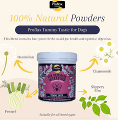 Proflax Tummy Tastic (excl. 20% VAT)