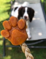 Pawsicle Ice Lolly Mould (excl. 20% VAT)