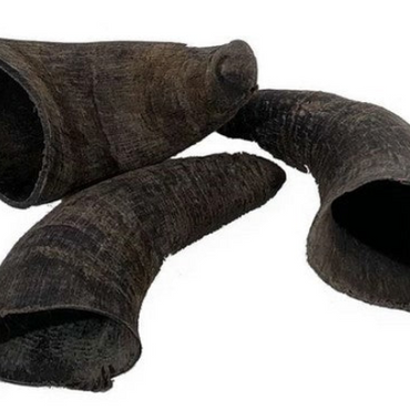 Paddock Farm  - Buffalo Horn Dog Chews