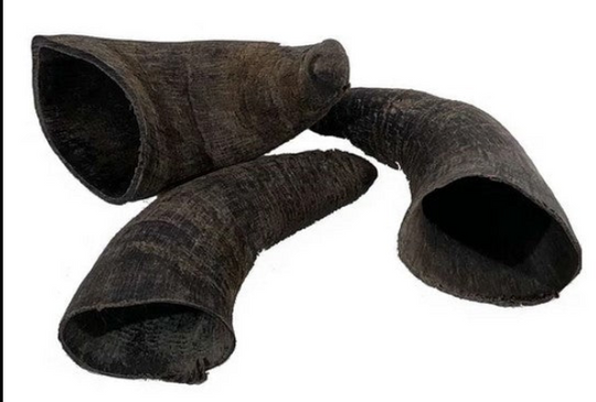 Paddock Farm  - Buffalo Horn Dog Chews