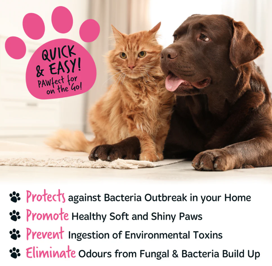 Bugalugs No Rinse Paw Cleaner for Dogs & Cats (excl. 20% VAT)