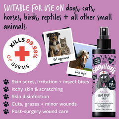 Antiseptic Hot Spot Spray for Dogs, Cats & Pets (excl. 20% VAT)