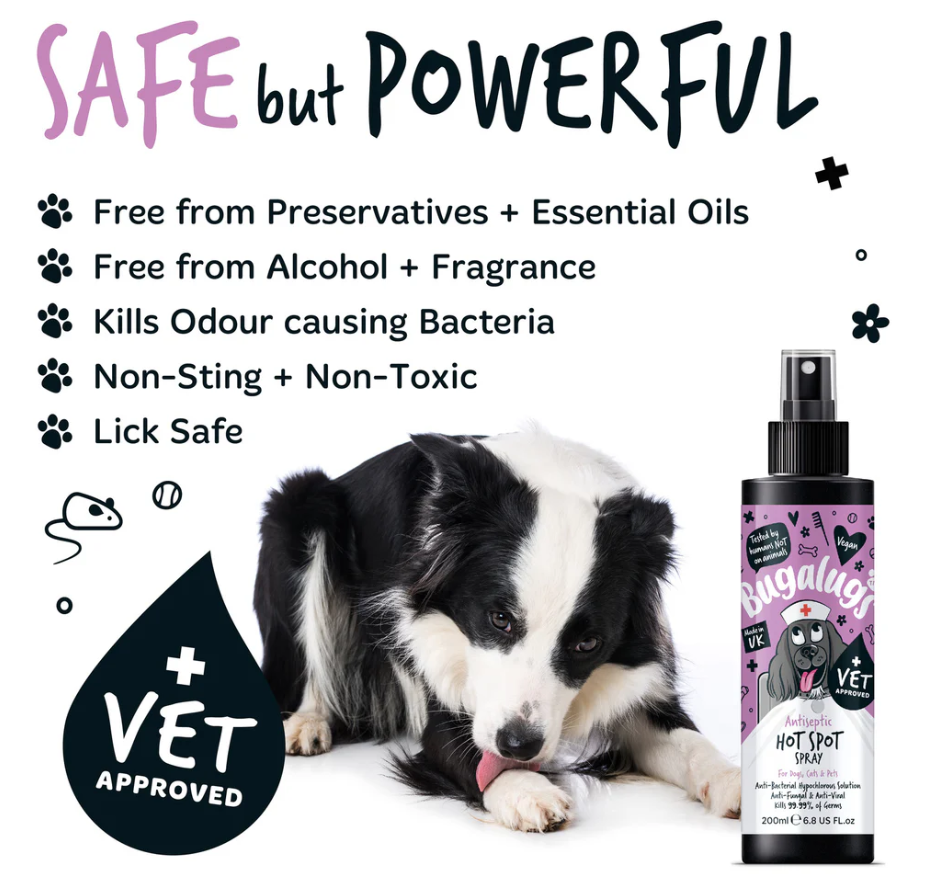 Antiseptic Hot Spot Spray for Dogs, Cats & Pets (excl. 20% VAT)