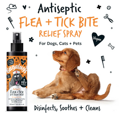 Antiseptic Flea & Tick Bite Relief Spray for Dogs, Cats & Pets (excl. 20% VAT)