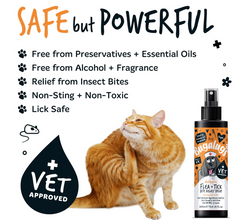 Antiseptic Flea & Tick Bite Relief Spray for Dogs, Cats & Pets (excl. 20% VAT)