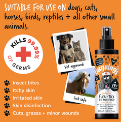 Antiseptic Flea & Tick Bite Relief Spray for Dogs, Cats & Pets (excl. 20% VAT)