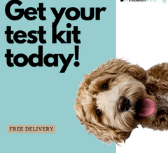 Dog Food-Sensitivity Test (excl. 20% VAT)