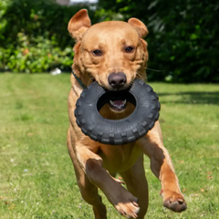 Extreme Tyre Tough Dog Toy (Excl VAT @ 20%)