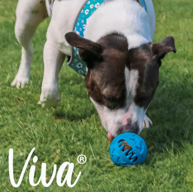 Viva Playtime Treat Ball (Excl VAT @ 20%) (Copy)