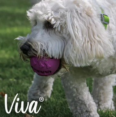 Viva Playtime Treat Ball (Excl VAT @ 20%) (Copy)