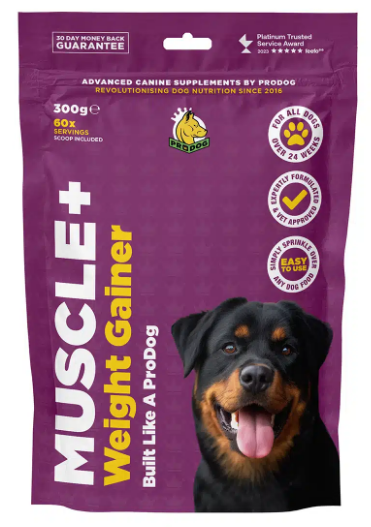 Muscle+ Weight Gainer and Muscle Builder Supplement For Dogs