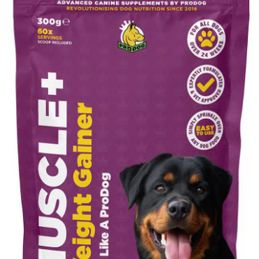 Muscle+ Weight Gainer and Muscle Builder Supplement For Dogs