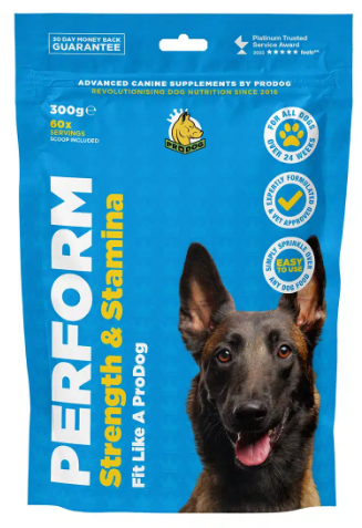 Perform Strength and Stamina Supplement For Dogs