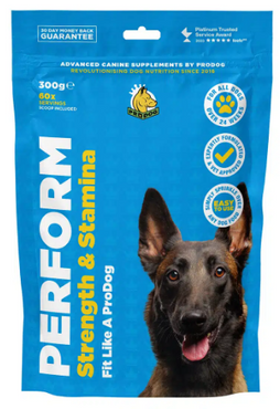 Perform Strength and Stamina Supplement For Dogs