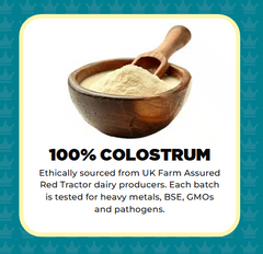 Colostrum Immune Support Supplement For Dogs