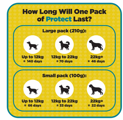 Protect Itchy Skin and Allergy Support Supplement For Dogs