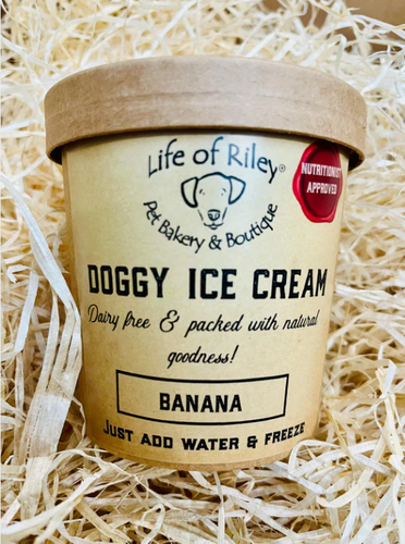 DIY Doggy Ice Cream