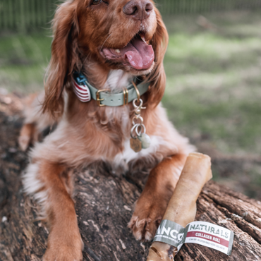 Beef Collagen Roll Large