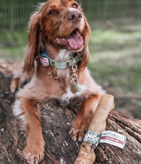 Beef Collagen Roll Large