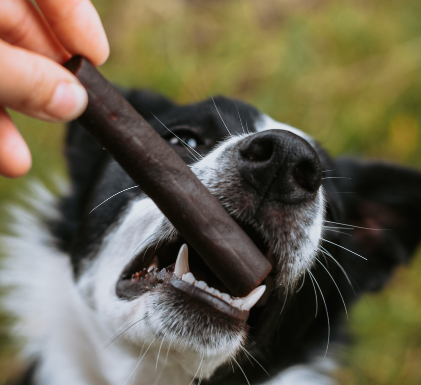 Ostrich Prime Tender Sticks 1 pc