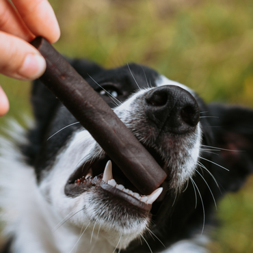 Ostrich Prime Tender Sticks 1 pc